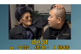 巩义为什么选择专业追讨公司来处理您的债务纠纷？